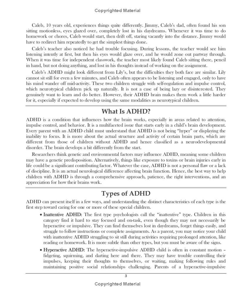 Parenting Kids with ADHD: Empowering Techniques and Strategies to Help Your Child with Self-Regulation, Skill Development, Concentration, and Self-Belief (The Emotion Detectives)