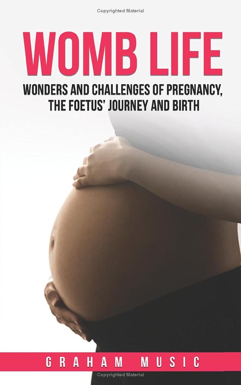 Womb Life: Wonders and challenges of pregnancy, the foetus journey and birth